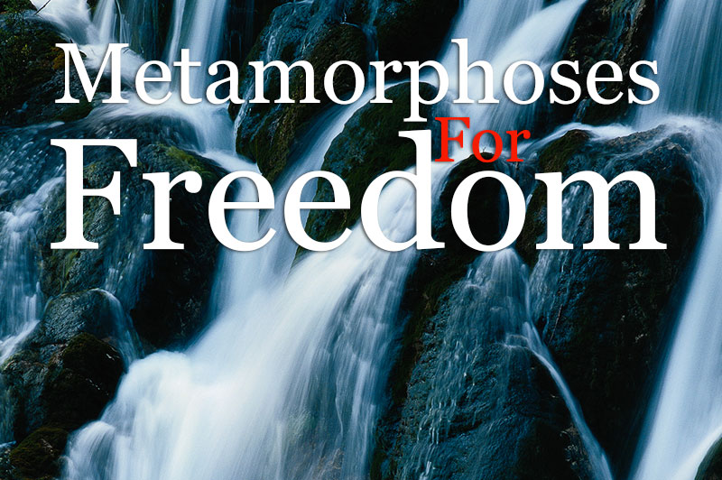 Metamorphoses For Freedom