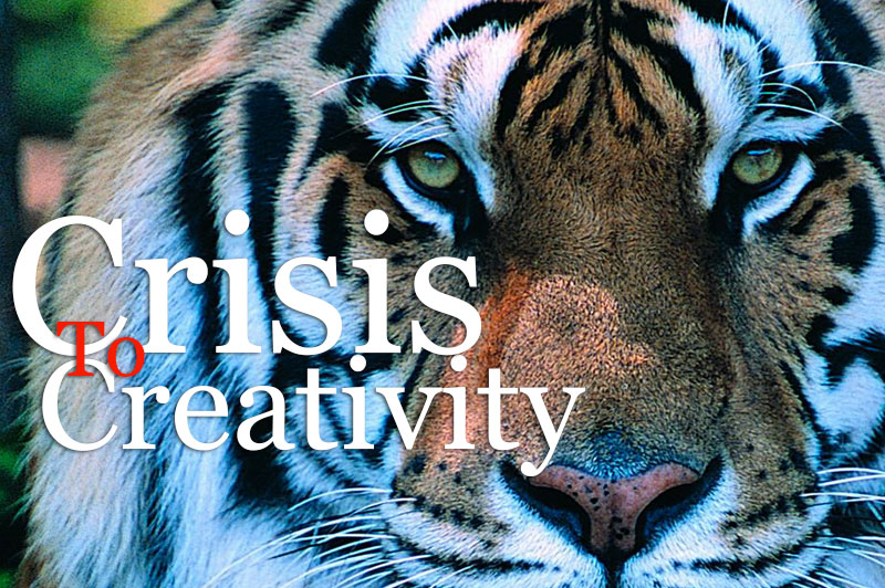 Crisis To Creativity