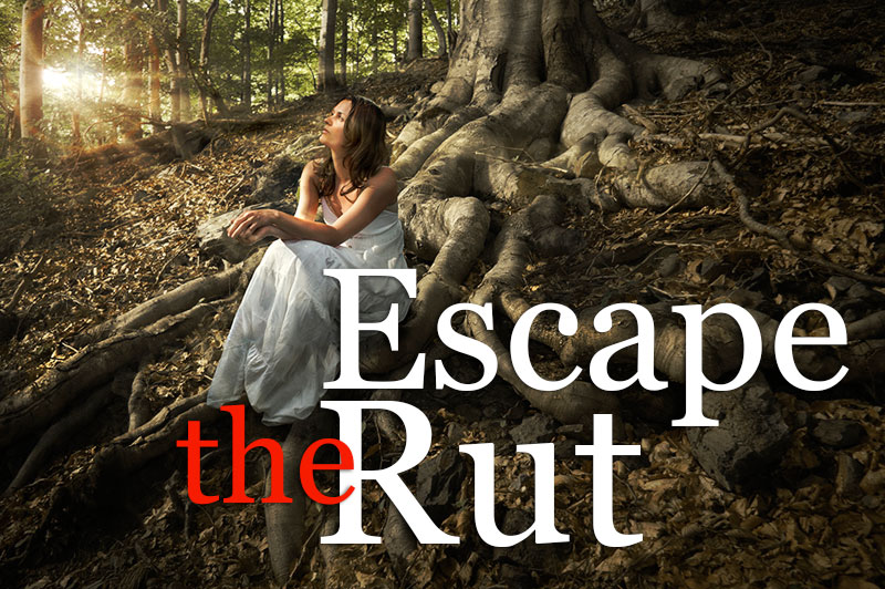 Escape The Rut