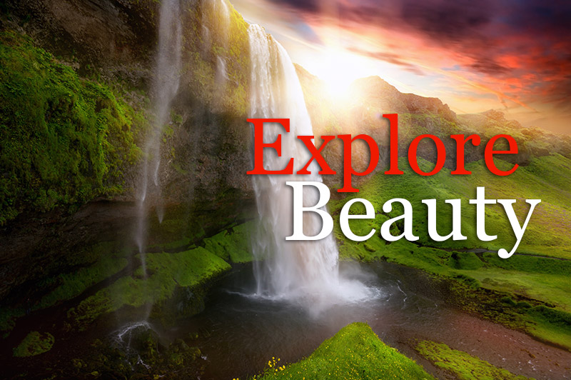 Exploring Beauty