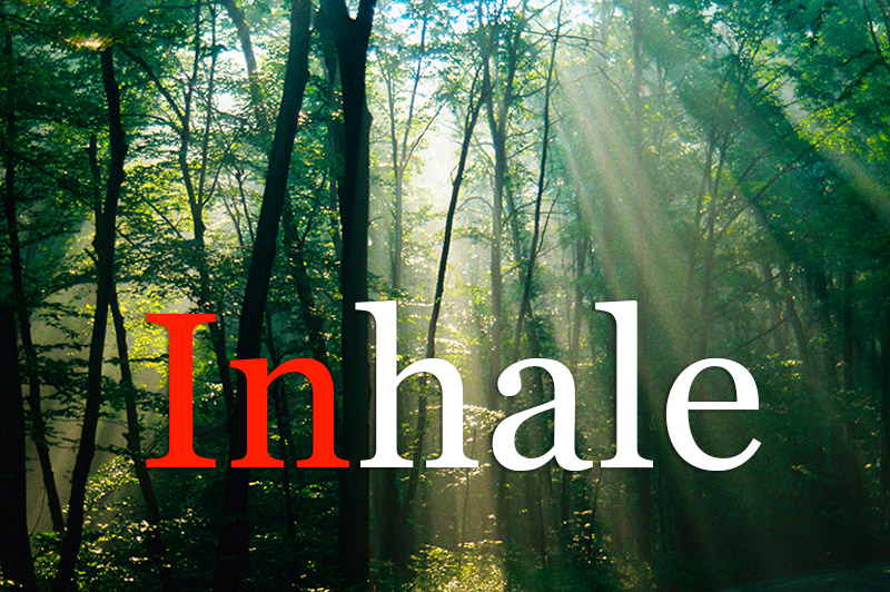 Inhale