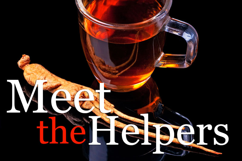 Meet The Helpers