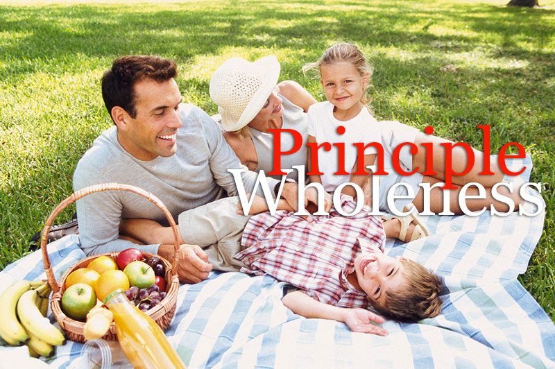 Principle Wholeness