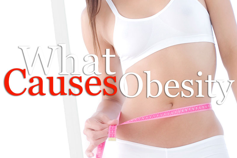 What Causes Obesity