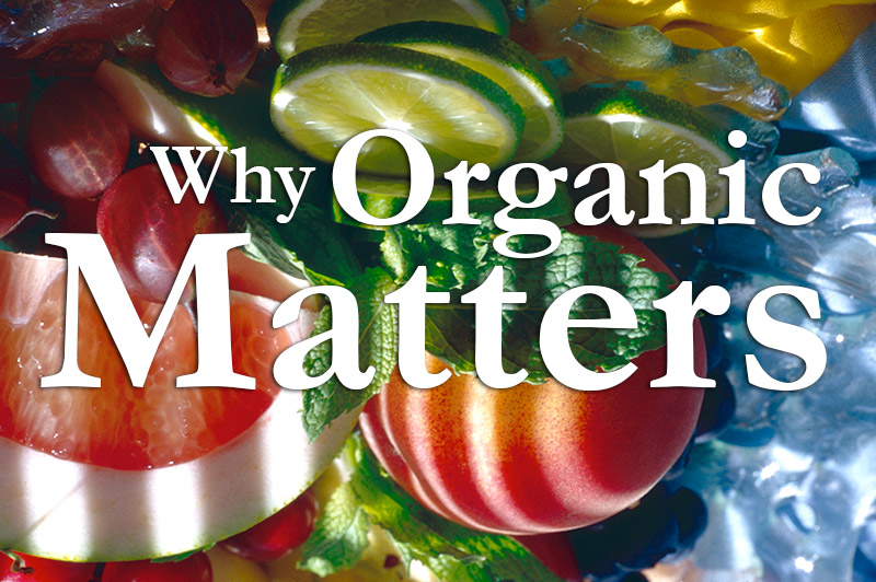 Why Organic Food Matters