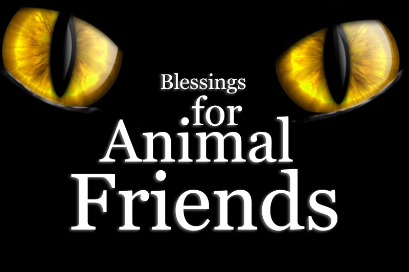 Blessings For Animal Friends